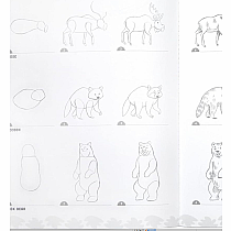 LEARN TO DRAW WILD ANIMALS