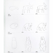 LEARN TO DRAW WILD ANIMALS