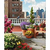 Rooftop Garden (500 pc Puzzle)