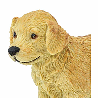 SAFARI GOLDEN RETRIVIER PUPPY