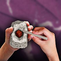 I DIG IT MINI ROCK FOSSIL EXCAVATION