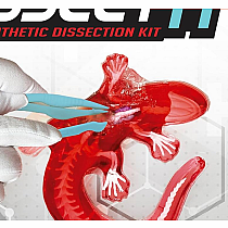 DISSECT-IT SALAMANDER LAB