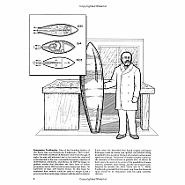 History of Space Exploration Coloring Book
