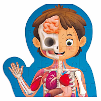 HUMAN BODY PUZZLE