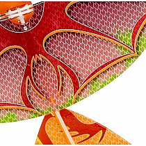 DRAGONHAWK FLYING BIRD