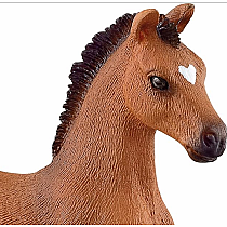 SCHLEICH OLDENBURG FOAL