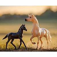 BREYER ENCORE & TOR