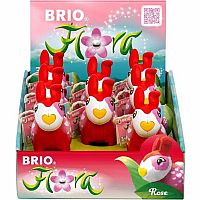 BRIO FLORA ROSE