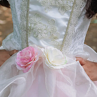 GOLDEN ROSE PRINCESS DRESS 5/6