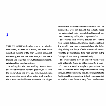 UNDERNEATH---KATHI APPELT  David Small  Newbery Honor