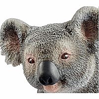 SCHLEICH KOALA  BEAR