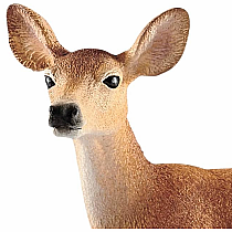 SCHLEICH WHITE-TAILED DOE