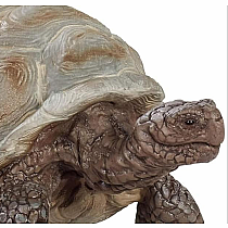 SCHLEICH GIANT TORTOISE