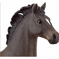 SCHLEICH OLDENBURG STALLION