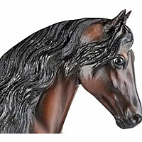 BREYER VIVALDI DE BESILU