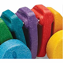 PLAN RAINBOW ALLIGATOR