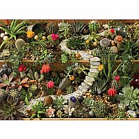 SUCCULENT GARDEN 1000PC PUZ