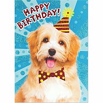 DOG WITH PARTY HAT BD CARD