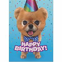 Teddy Bear Pomeranian Foil Card