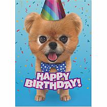 Teddy Bear Pomeranian Foil Card