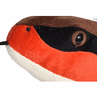 SNAKE 54" EASTERN COTTENMOUTH