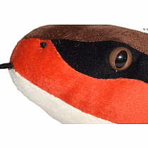 SNAKE 54" EASTERN COTTENMOUTH