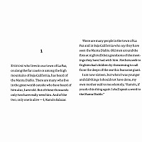 The Black Pearl --Newbery Honor  Scott O'Dell