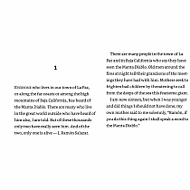 The Black Pearl --Newbery Honor  Scott O'Dell