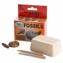 Fossils Mini Dig Kits