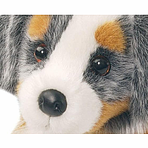 Sinclair Australian Sheepdog