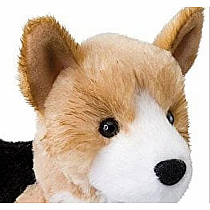 Shorty Tri-color Corgi