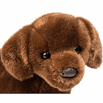 Cocoa Chocolate Lab