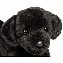 Brewster Black Lab