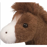 Warrior Blanket Applaoosa Horse