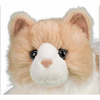 Kiki Ragdoll Cat
