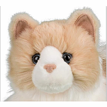 Kiki Ragdoll Cat