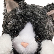 B&W Kitten Lil' Handful