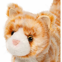 Hal Orng Striped Cat