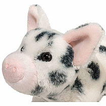 Black Spotted Pig