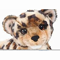 Spatter Leopard Cub
