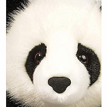 Douglas Emmett DLux Panda