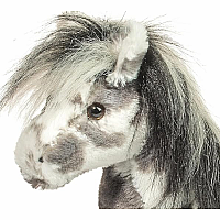 STARSKY APPALOOSA HORSE