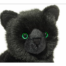 Salem Black Cat*