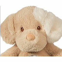 AUGGIE TAN PUPPY SSHLUMPIE