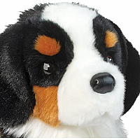 TROOPER BERNESE MOUNTAIN DOG