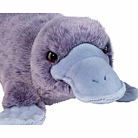 ALLIE PLATYPUS SOFTIE