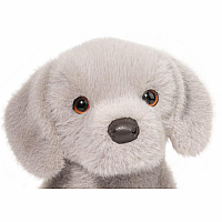 ARGENTO SILVER LAB PUP