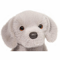 ARGENTO SILVER LAB PUP