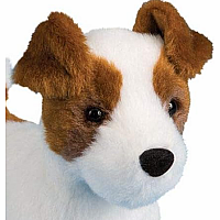 FIESTY JACK RUSSELL TERRIER