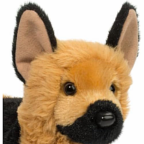 QUEENIE GERMAN SHEPHERD